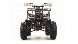 Квадроцикл MOTOLAND 125 Fox A, фото 2 Квадроцикл MOTOLAND 125 Fox A, фото 2