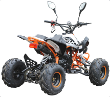 Квадроцикл MOTAX ATV T-Rex LUX 125 cc