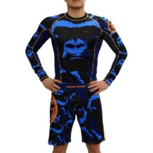 Шорты Hardcore Training hctshorts036