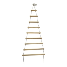 Лестница Скрипалева Ранний старт