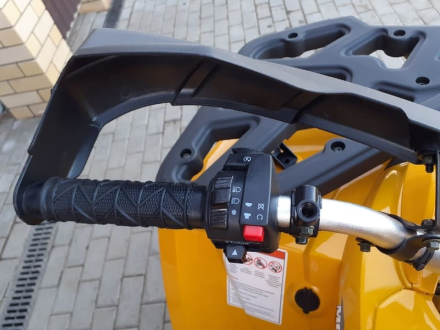 Квадроцикл MOTOLAND ATV 200 Wild Track, фото 16