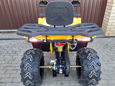 Квадроцикл MOTOLAND ATV 200 Wild Track, фото 8