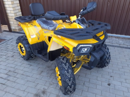 Квадроцикл MOTOLAND ATV 200 Wild Track, фото 6 Квадроцикл MOTOLAND ATV 200 Wild Track, фото 6