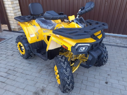 Квадроцикл MOTOLAND ATV 200 Wild Track, фото 6