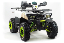 Квадроцикл MOTOLAND ATV 200 Wild Track, фото 5 Квадроцикл MOTOLAND ATV 200 Wild Track, фото 5