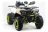 Квадроцикл MOTOLAND ATV 200 Wild Track