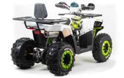 Квадроцикл MOTOLAND ATV 200 Wild Track, фото 4 Квадроцикл MOTOLAND ATV 200 Wild Track, фото 4