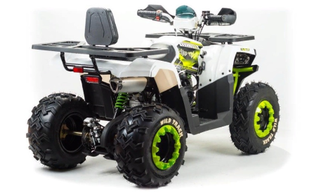 Квадроцикл MOTOLAND ATV 200 Wild Track, фото 4