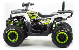 Квадроцикл MOTOLAND ATV 200 Wild Track, фото 1 Квадроцикл MOTOLAND ATV 200 Wild Track, фото 1