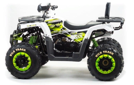 Квадроцикл MOTOLAND ATV 200 Wild Track, фото 1