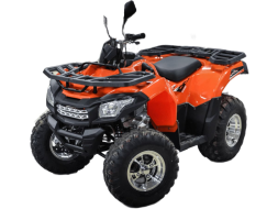 Квадроцикл MOTOLAND ATV 200 Max, фото 2 Квадроцикл MOTOLAND ATV 200 Max, фото 2