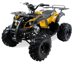 Квадроцикл MOTAX ATV Grizlik-8 125, фото 2