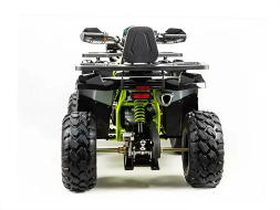 Квадроцикл MOTOLAND 200 Wild Track Pro, фото 4 Квадроцикл MOTOLAND 200 Wild Track Pro, фото 4