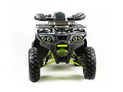 Квадроцикл MOTOLAND 200 Wild Track Pro, фото 2 Квадроцикл MOTOLAND 200 Wild Track Pro, фото 2