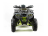 Квадроцикл MOTOLAND 200 Wild Track Pro