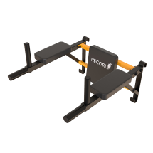 Навесные "Брусья + Пресс + Упор для штанги" Рекорд Навесные "Брусья + Пресс + Упор для штанги" Рекорд