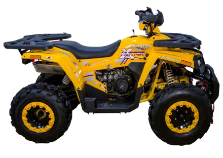 Квадроцикл AVANTIS Hunter 200 Big Lux (Баланс. вал), фото 6