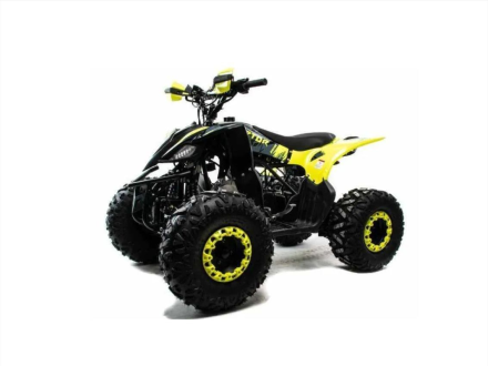Квадроцикл MOTOLAND ATV RAPTOR A 125, фото 1