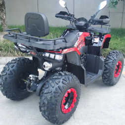 Квадроцикл RACER Gladiator 200, фото 6 Квадроцикл RACER Gladiator 200, фото 6