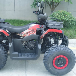 Квадроцикл RACER Gladiator 200, фото 5 Квадроцикл RACER Gladiator 200, фото 5