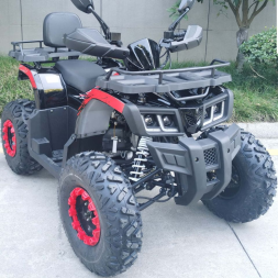 Квадроцикл RACER Gladiator 200, фото 4 Квадроцикл RACER Gladiator 200, фото 4