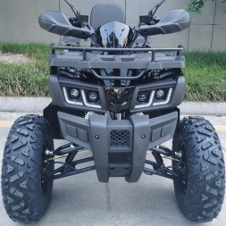 Квадроцикл RACER Gladiator 200, фото 3 Квадроцикл RACER Gladiator 200, фото 3