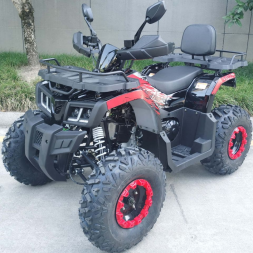 Квадроцикл RACER Gladiator 200, фото 2 Квадроцикл RACER Gladiator 200, фото 2