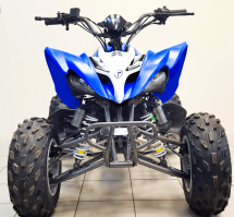 Квадроцикл MIKILON Rapide 250S