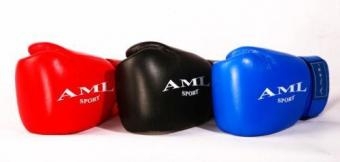Перчатки боксерские AML, фото 4