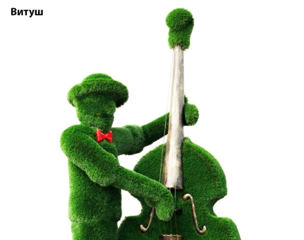 Топиари музыкант, контрабасист Витуш - газон Deluxe, фото 3