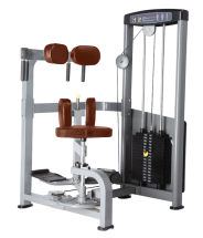 BRONZE GYM D-011_C Торс-машина