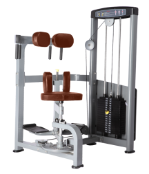 BRONZE GYM D-011_C Торс-машина