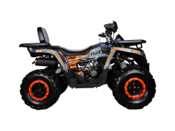 Квадроцикл AVANTIS H250 BIG NEW Basic, фото 4