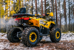 Квадроцикл WELS Thunder Trail 125 PRO, фото 6