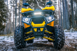 Квадроцикл WELS Thunder Trail 125 PRO, фото 5