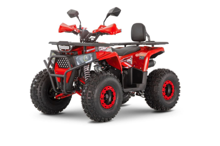 Квадроцикл WELS Thunder Trail 125 PRO, фото 2