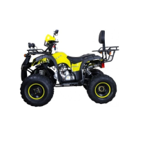 Квадроцикл AVANTIS Hunter 8M Lux 125 2017