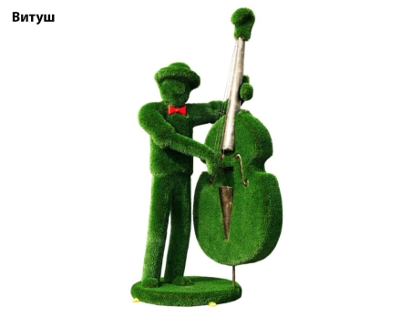 Топиари музыкант, контрабасист Оскар - газон Deluxe, фото 4