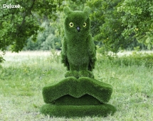 Топиари композиция сова на книге - газон Есо