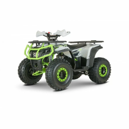 Квадроцикл YACOTA DRAGON 125, фото 1