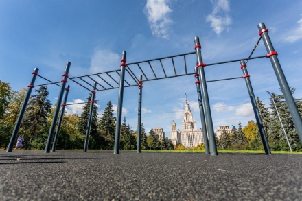 Комплекс из турников и рукохода Диксон, фото 3