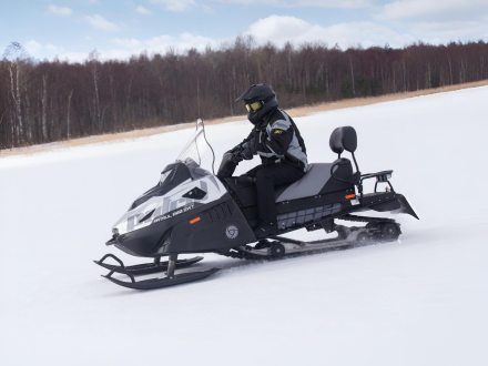 Снегоход RM Tayga Patrul 800 SWT XE Sport, фото 3
