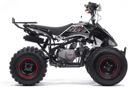 Квадроцикл BSE XT1 Black, фото 1