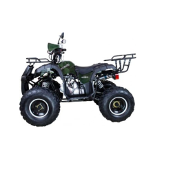 Квадроцикл AVANTIS Hunter 8+ 125 2018, фото 2