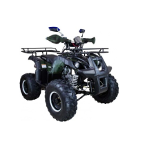 Квадроцикл AVANTIS Hunter 8+ 125 2018