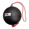 Изображение товара Мяч с веревкой Perform Better Extreme Converta Ball, вес: 7 кг