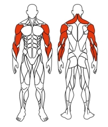 Рули (положение стоя) серый - Уличный тренажер - СТ 105-13, фото 6