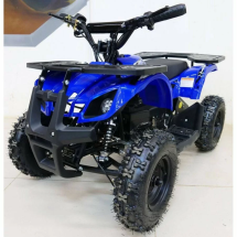 Квадроцикл MOTAX Mini Grizlik X-16 1000W New