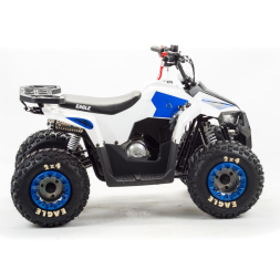 Квадроцикл MOTOLAND 110 Eagle (2021 Г.), фото 6 Квадроцикл MOTOLAND 110 Eagle (2021 Г.), фото 6