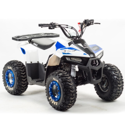 Квадроцикл MOTOLAND 110 Eagle (2021 Г.), фото 5 Квадроцикл MOTOLAND 110 Eagle (2021 Г.), фото 5